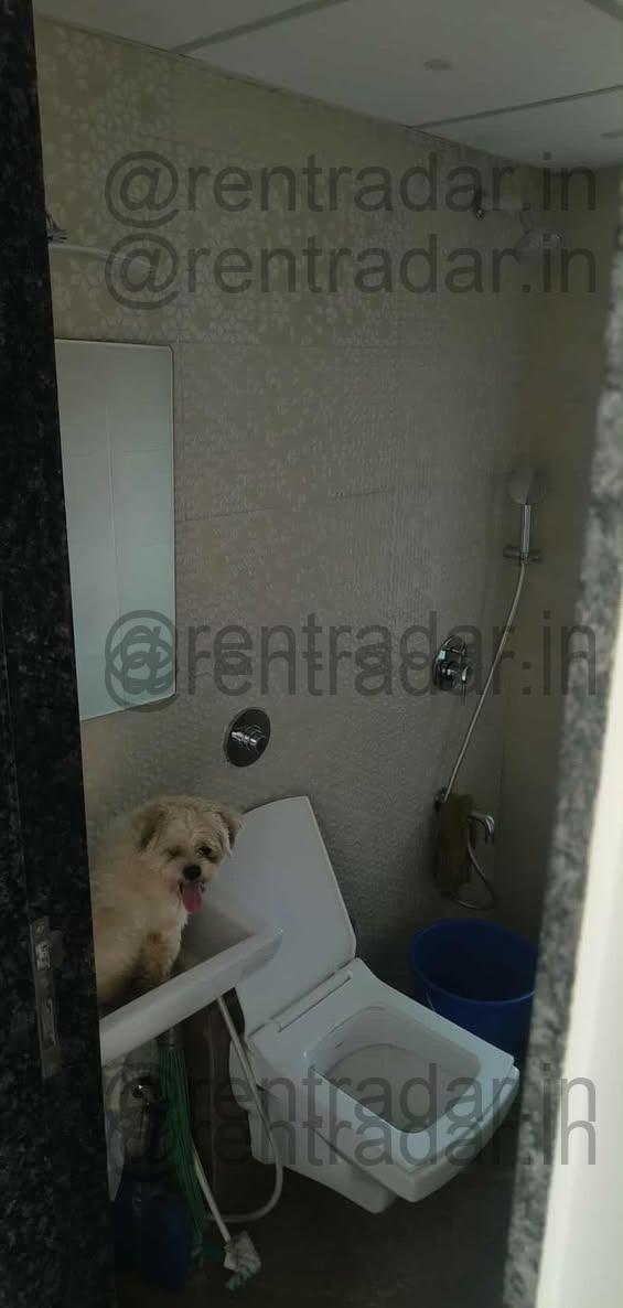 1 Bhk For Rent at Not Specified