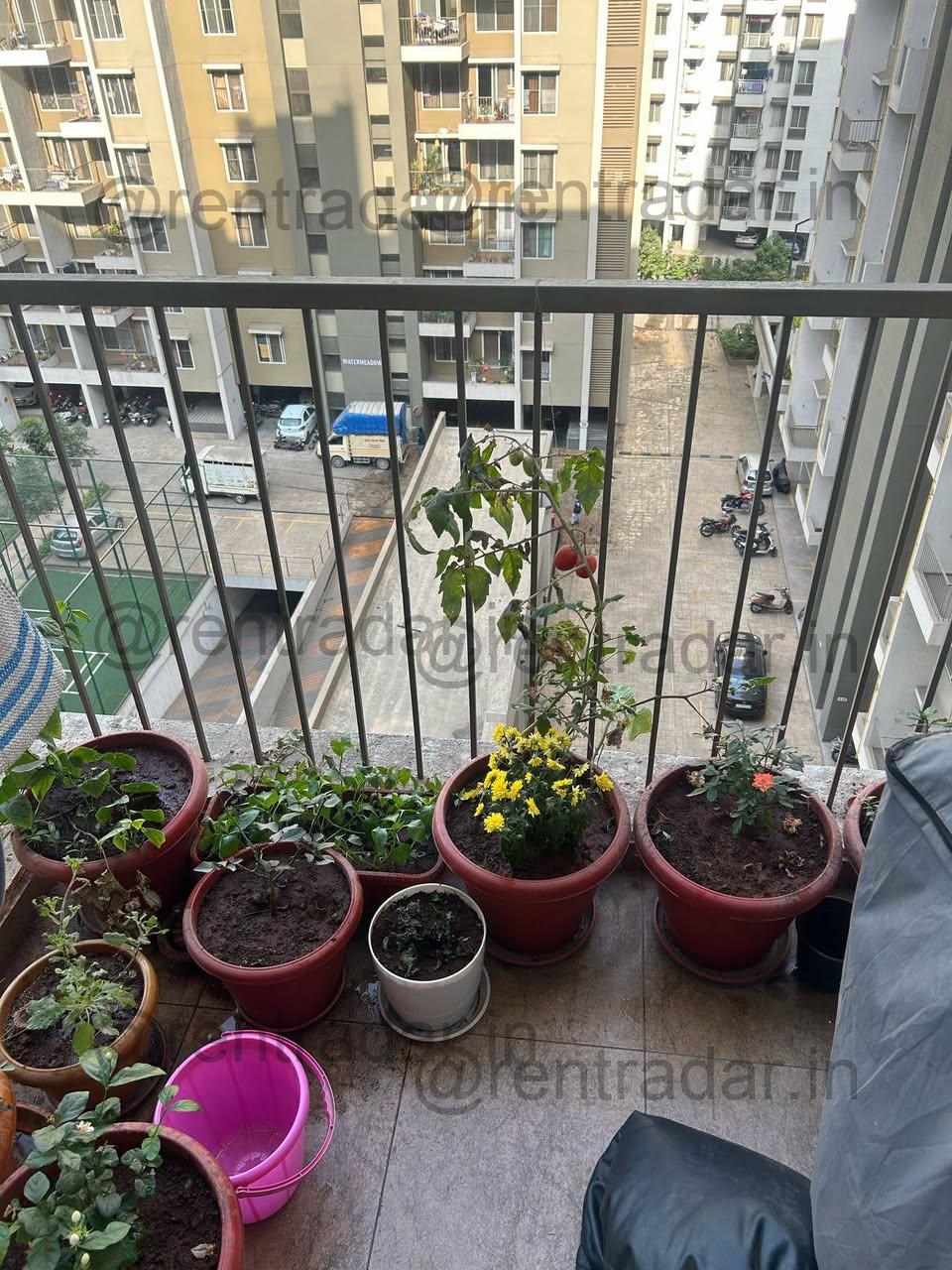 1 Bhk For Rent at Wakad