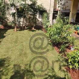 1 Bhk For Rent at Tingre Nagar / Dhanori