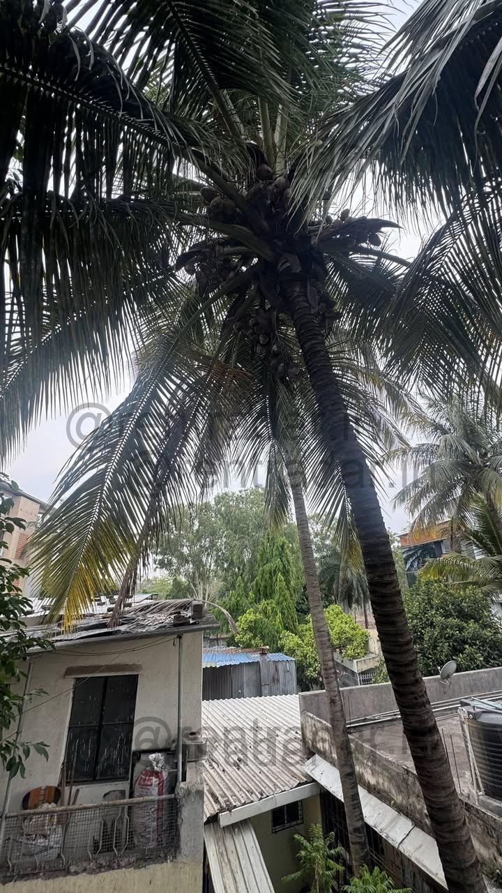 Room in 1 Bhk at Tingre Nagar (arjun Apartments)