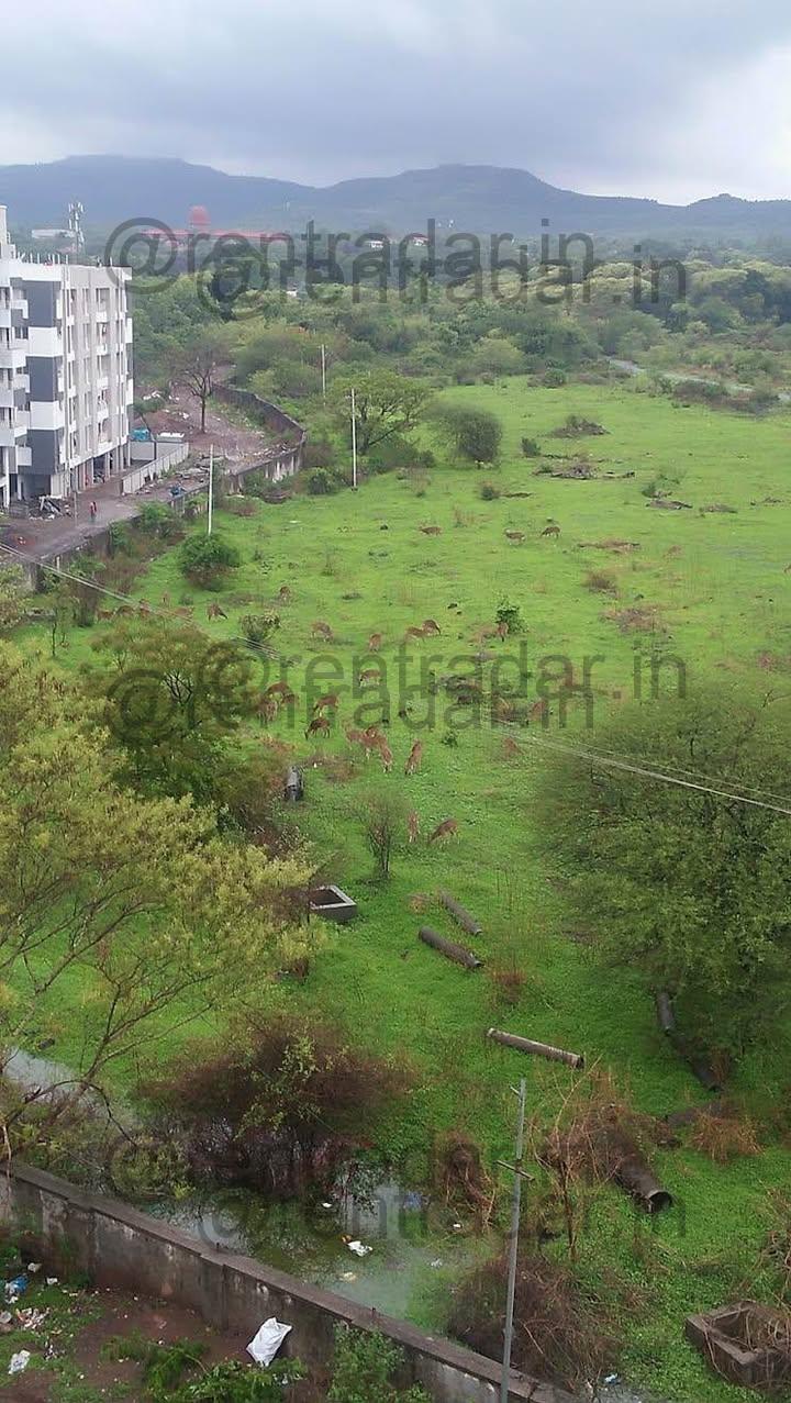 1 Bhk For Rent at Akshy Vihar Society
