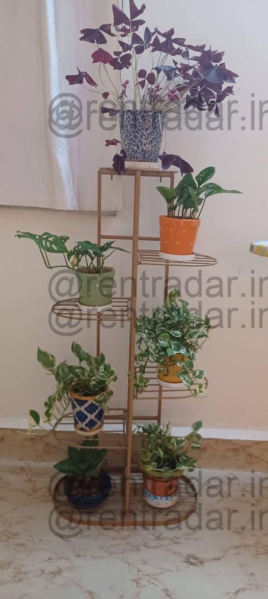 Room in 2bhk at Koregaon Park