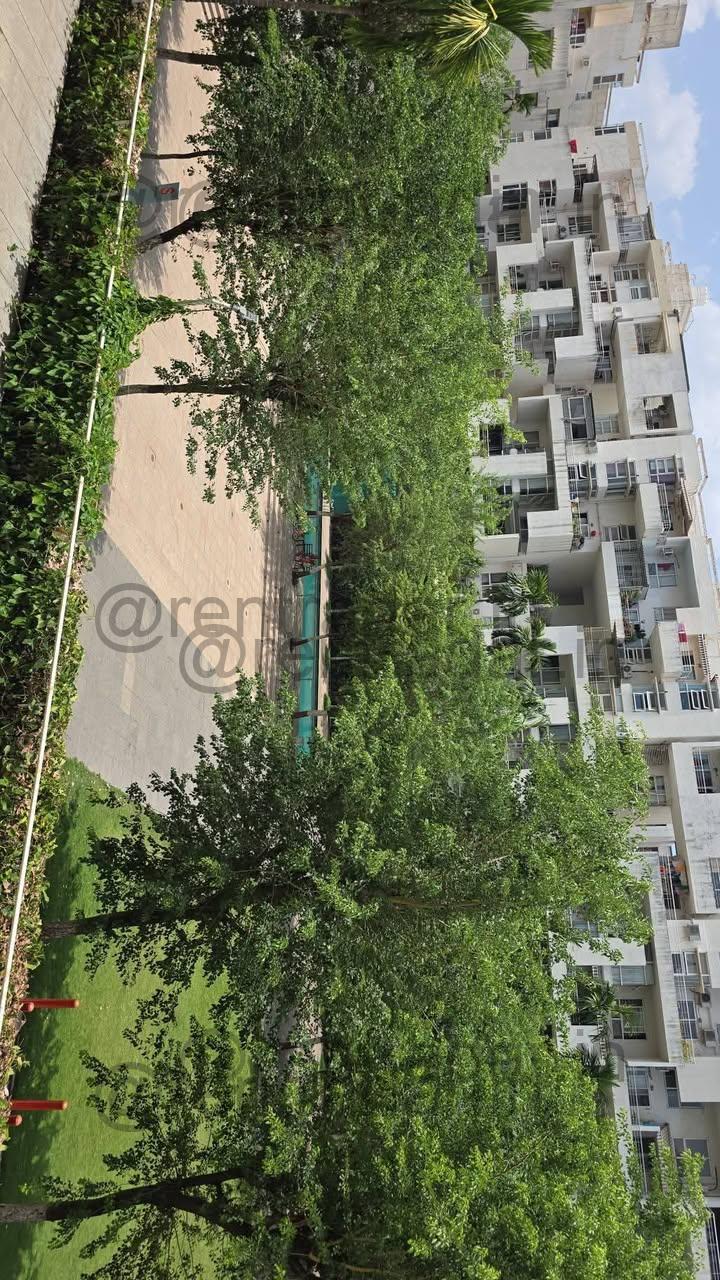 Room Available at Viman Nagar (rohan Mithila)