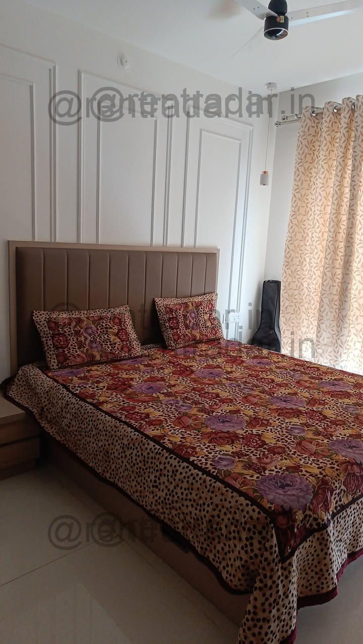 Room Available at Balewadi